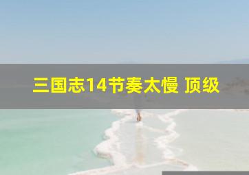 三国志14节奏太慢 顶级